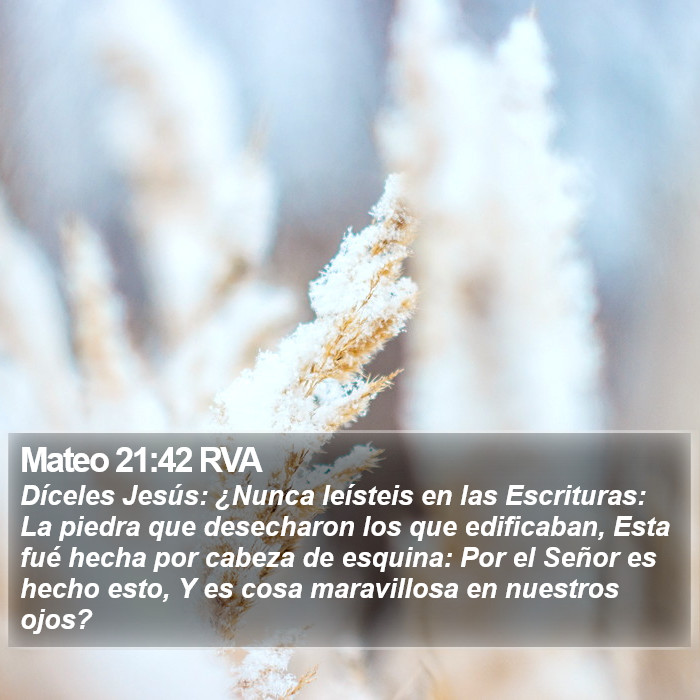 Mateo 21:42 RVA Bible Study