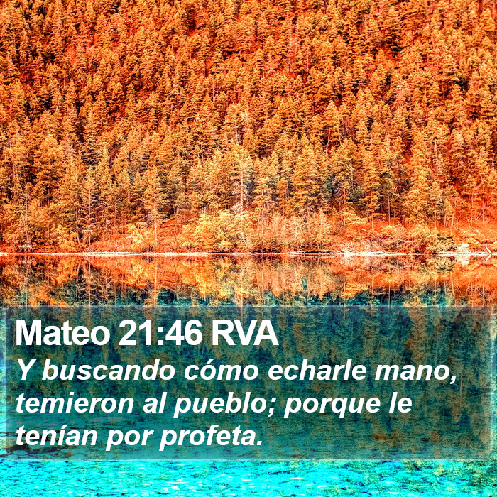 Mateo 21:46 RVA Bible Study