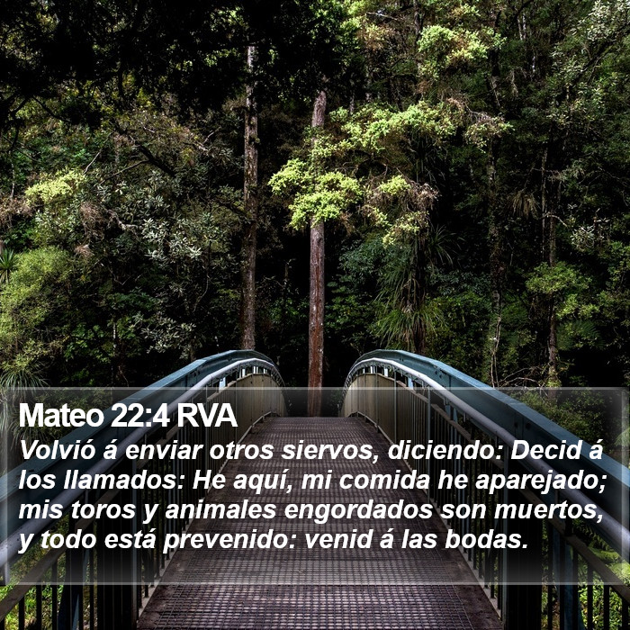 Mateo 22:4 RVA Bible Study