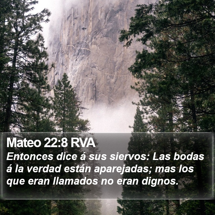 Mateo 22:8 RVA Bible Study