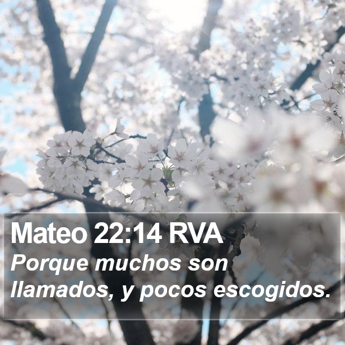 Mateo 22:14 RVA Bible Study