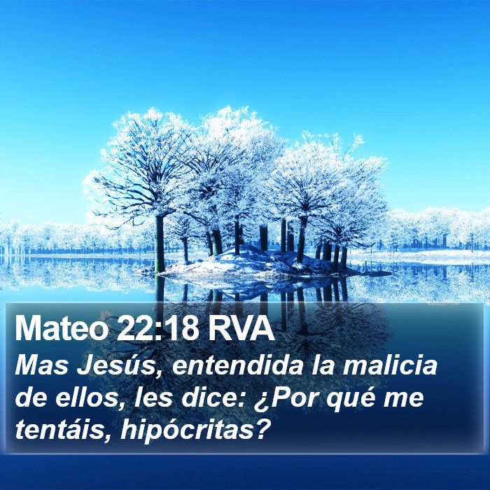 Mateo 22:18 RVA Bible Study