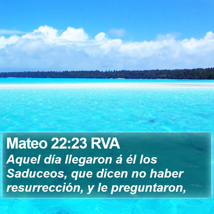 Mateo 22:23 RVA Bible Study