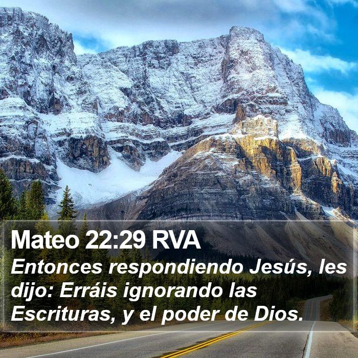 Mateo 22:29 RVA Bible Study