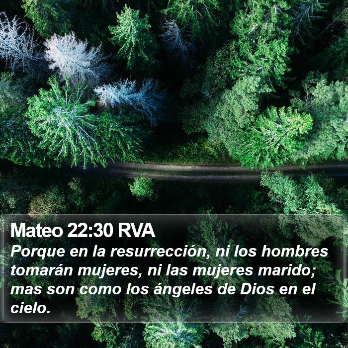 Mateo 22:30 RVA Bible Study