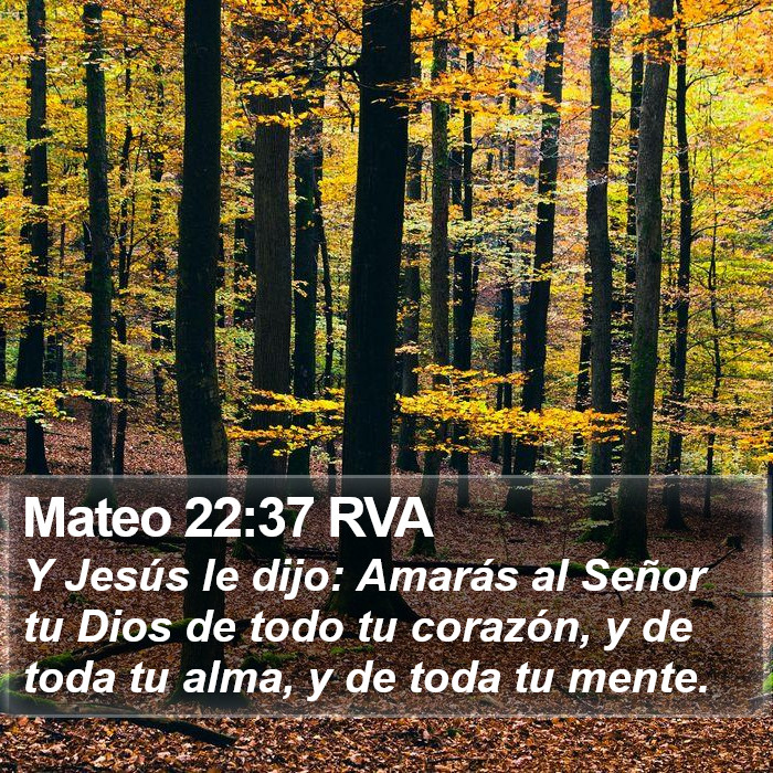 Mateo 22:37 RVA Bible Study