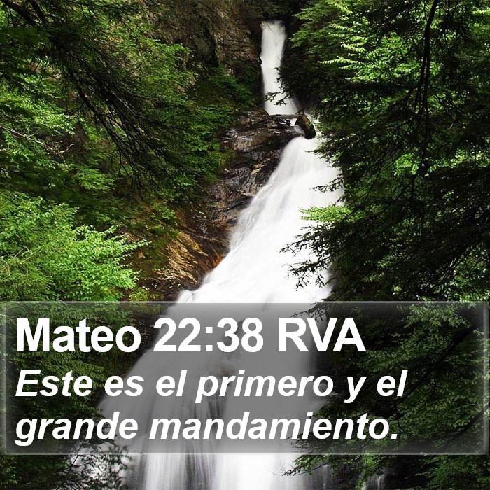 Mateo 22:38 RVA Bible Study