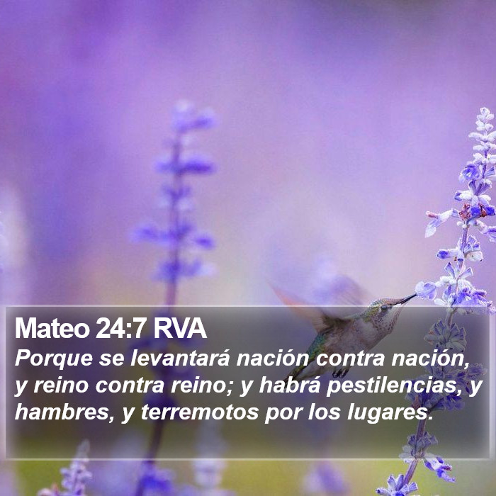 Mateo 24:7 RVA Bible Study