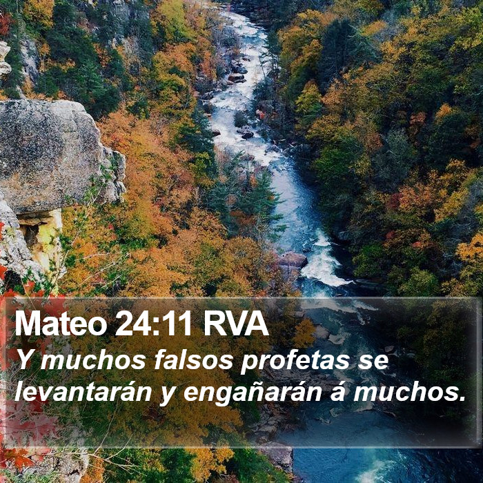 Mateo 24:11 RVA Bible Study