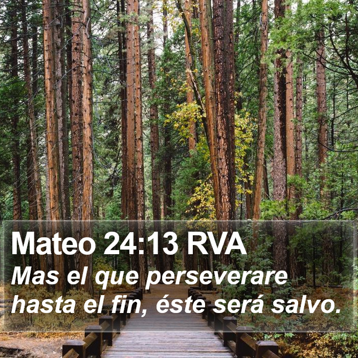 Mateo 24:13 RVA Bible Study