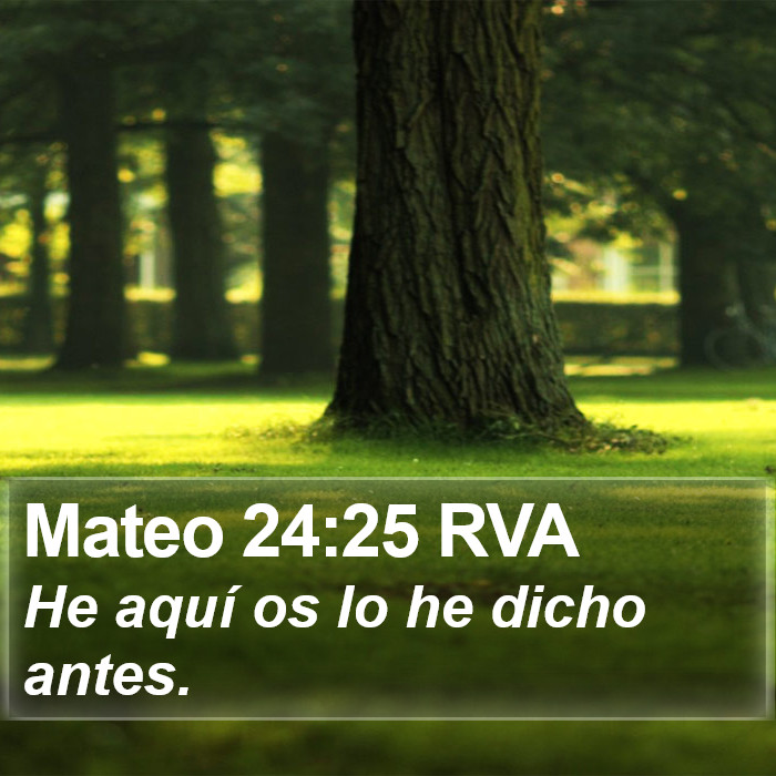 Mateo 24:25 RVA Bible Study