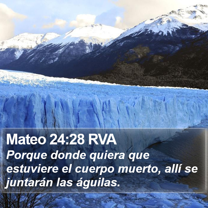 Mateo 24:28 RVA Bible Study