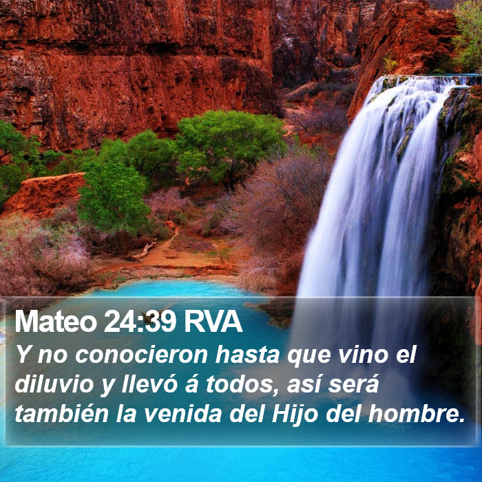 Mateo 24:39 RVA Bible Study