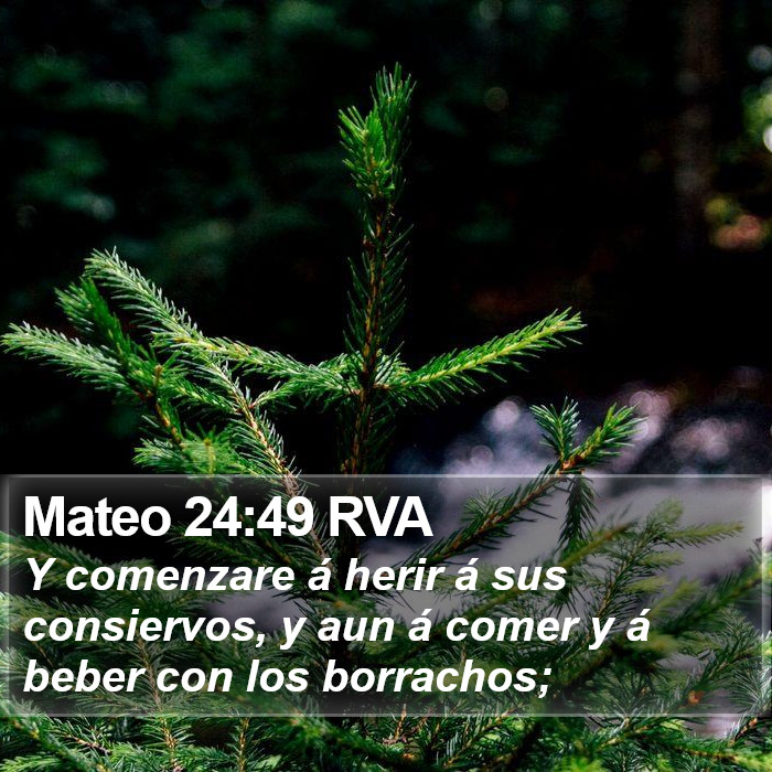 Mateo 24:49 RVA Bible Study