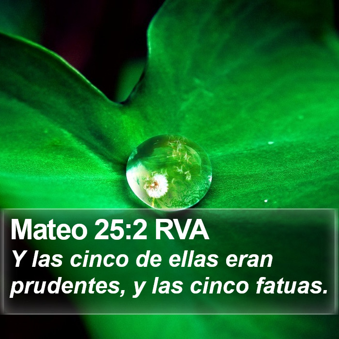 Mateo 25:2 RVA Bible Study