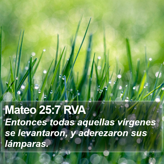 Mateo 25:7 RVA Bible Study