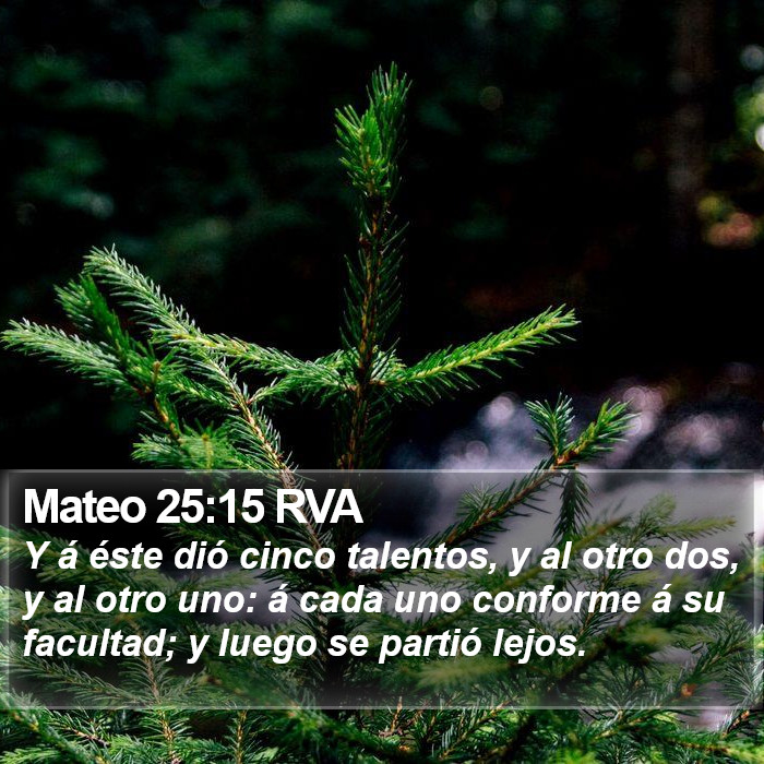 Mateo 25:15 RVA Bible Study