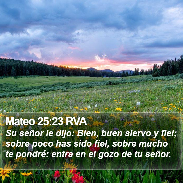 Mateo 25:23 RVA Bible Study