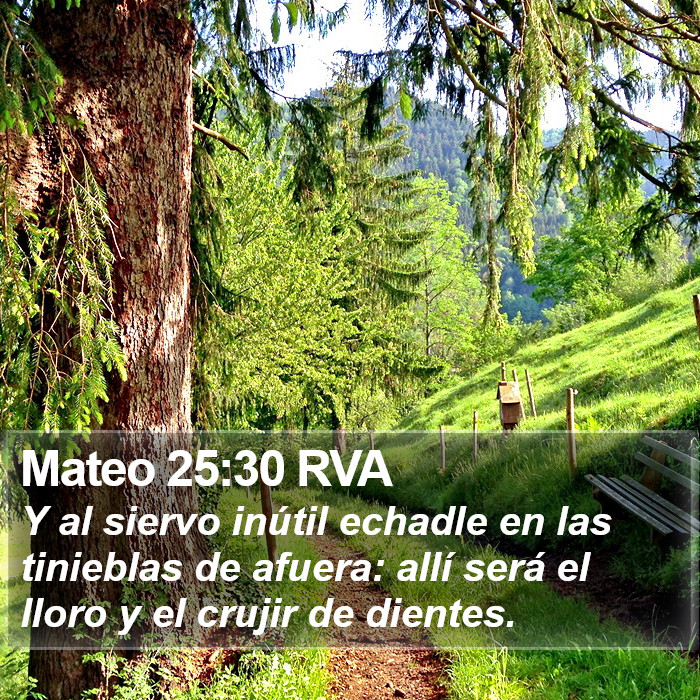 Mateo 25:30 RVA Bible Study