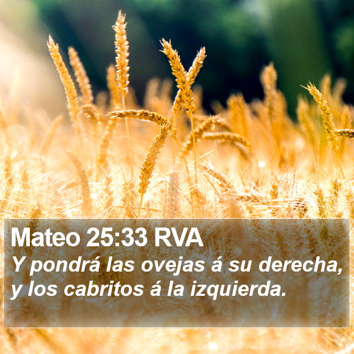 Mateo 25:33 RVA Bible Study