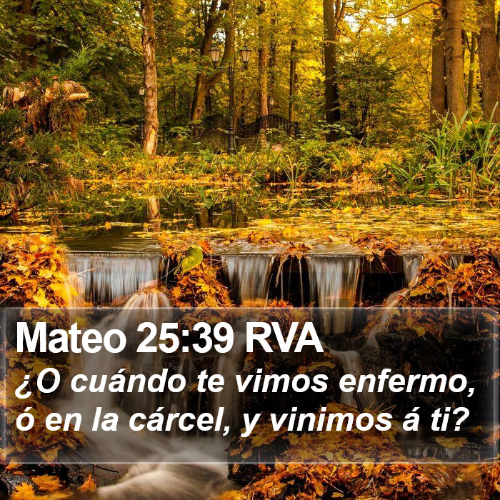 Mateo 25:39 RVA Bible Study