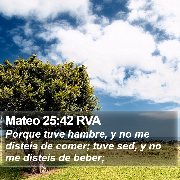 Mateo 25:42 RVA Bible Study