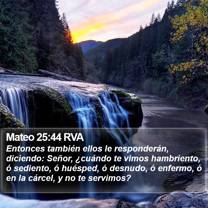Mateo 25:44 RVA Bible Study