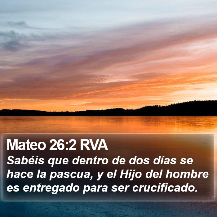 Mateo 26:2 RVA Bible Study