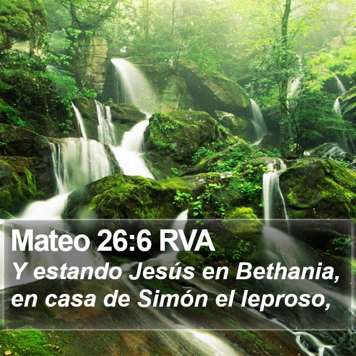 Mateo 26:6 RVA Bible Study