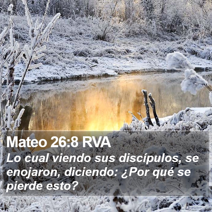 Mateo 26:8 RVA Bible Study