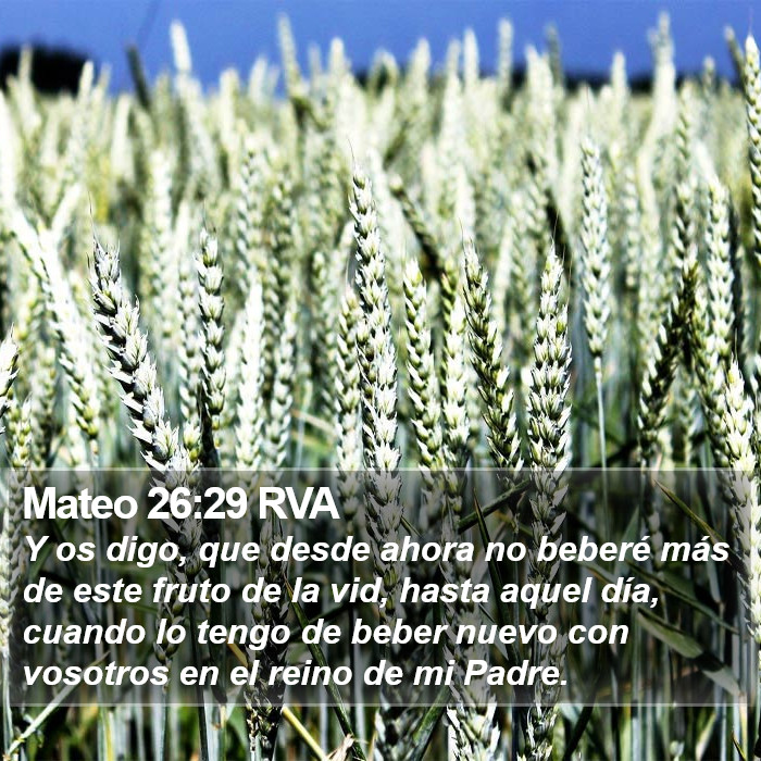 Mateo 26:29 RVA Bible Study