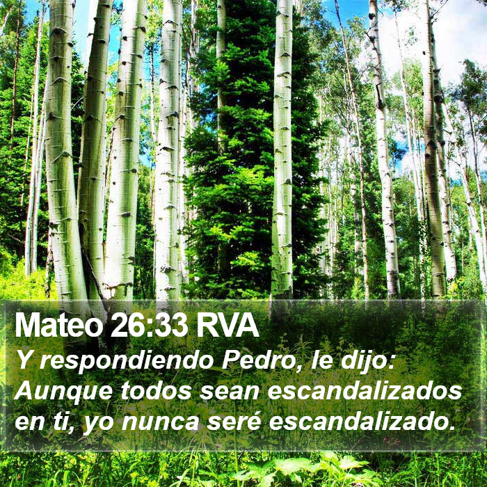 Mateo 26:33 RVA Bible Study