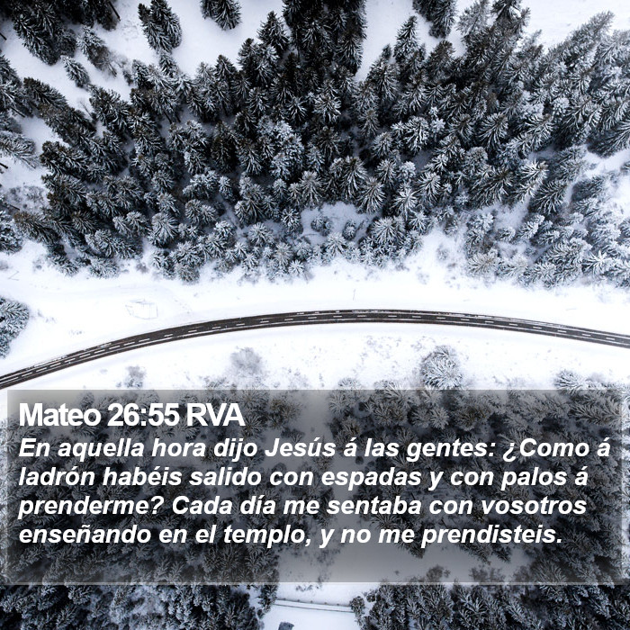 Mateo 26:55 RVA Bible Study