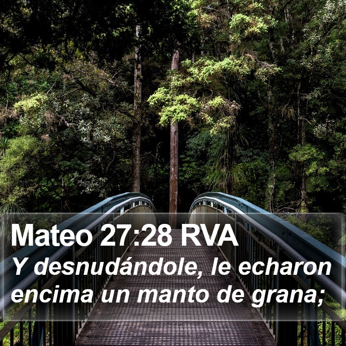 Mateo 27:28 RVA Bible Study