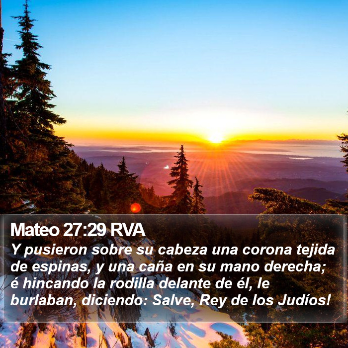 Mateo 27:29 RVA Bible Study