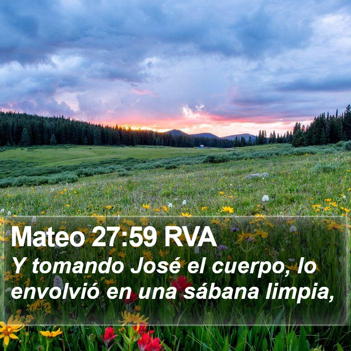 Mateo 27:59 RVA Bible Study