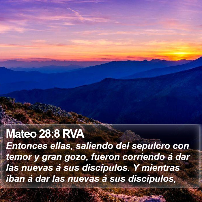 Mateo 28:8 RVA Bible Study