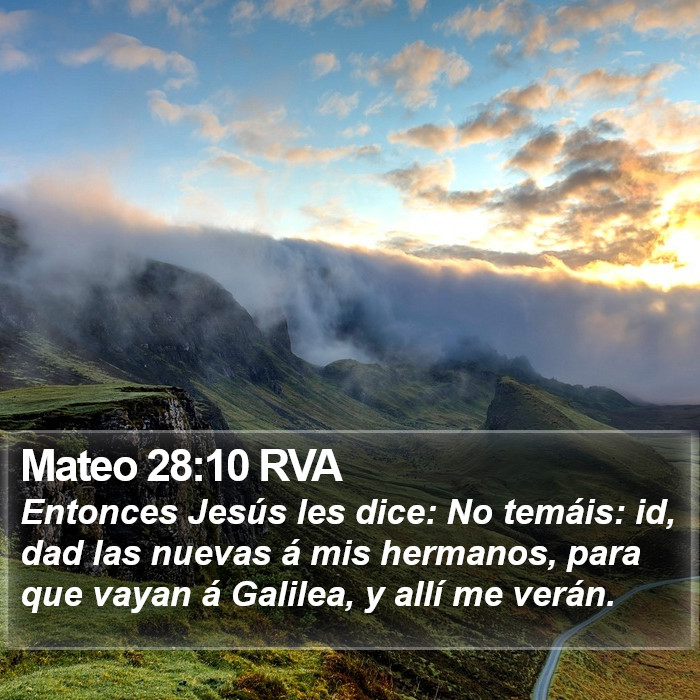 Mateo 28:10 RVA Bible Study