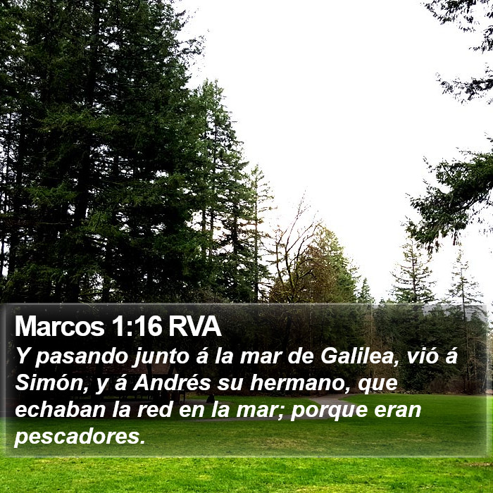 Marcos 1:16 RVA Bible Study