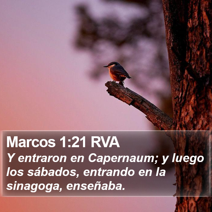 Marcos 1:21 RVA Bible Study