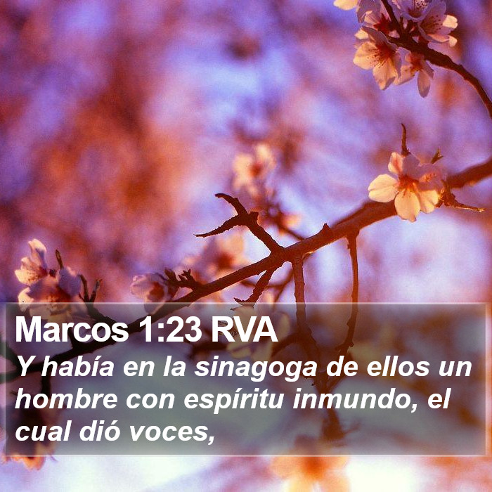 Marcos 1:23 RVA Bible Study