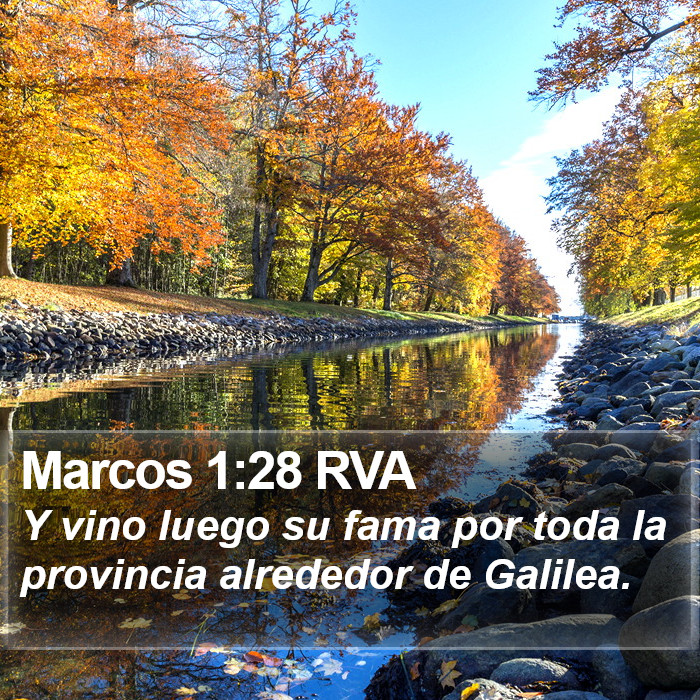 Marcos 1:28 RVA Bible Study