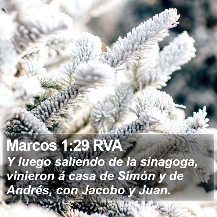 Marcos 1:29 RVA Bible Study