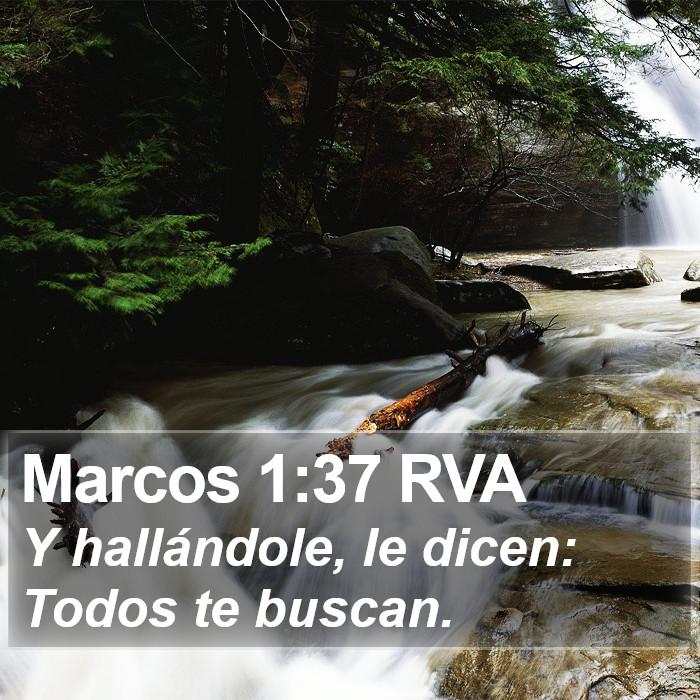 Marcos 1:37 RVA Bible Study