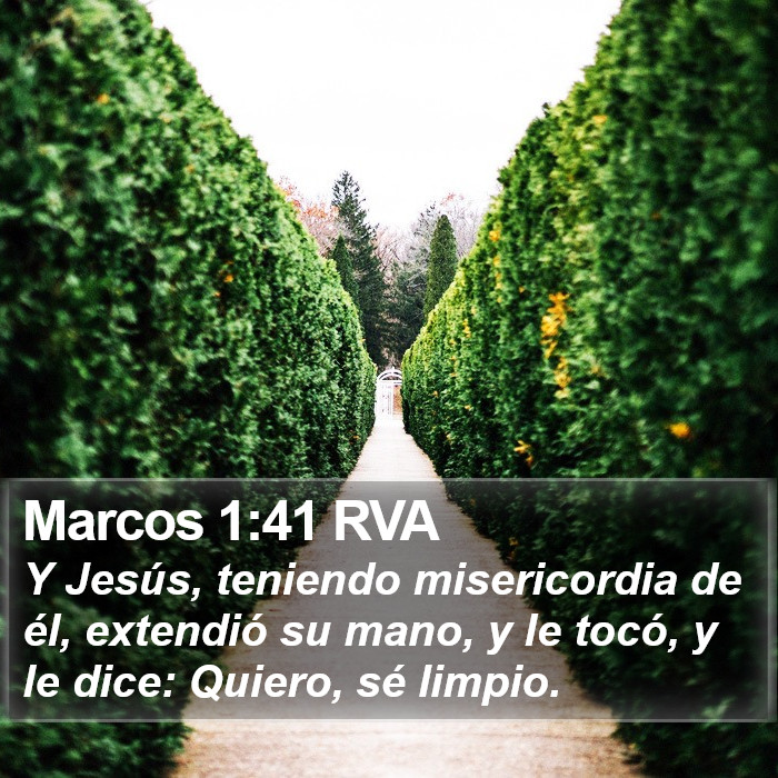 Marcos 1:41 RVA Bible Study