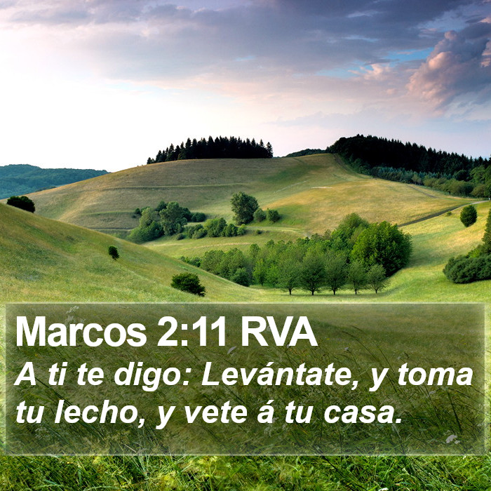 Marcos 2:11 RVA Bible Study