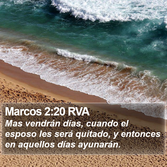 Marcos 2:20 RVA Bible Study