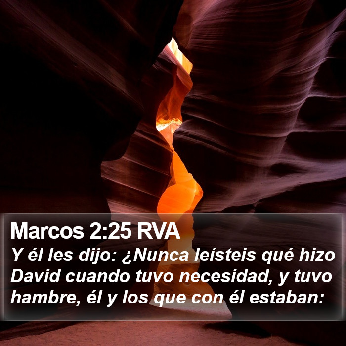 Marcos 2:25 RVA Bible Study