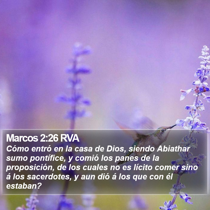 Marcos 2:26 RVA Bible Study