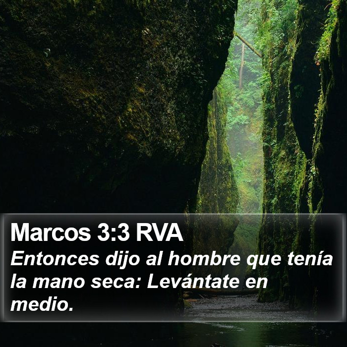 Marcos 3:3 RVA Bible Study